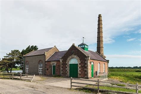 Wexford Wildfowl Reserve - Ireland Highlights