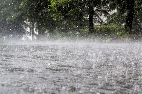 8 killed in Sri Lanka in heavy rainfall; several houses damaged - The Statesman