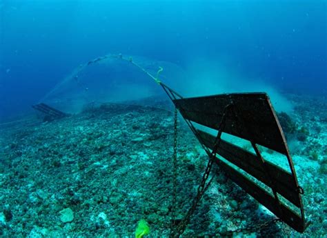 Destructive bottom trawling happens in 98% of the UK’s Marine Protected ...