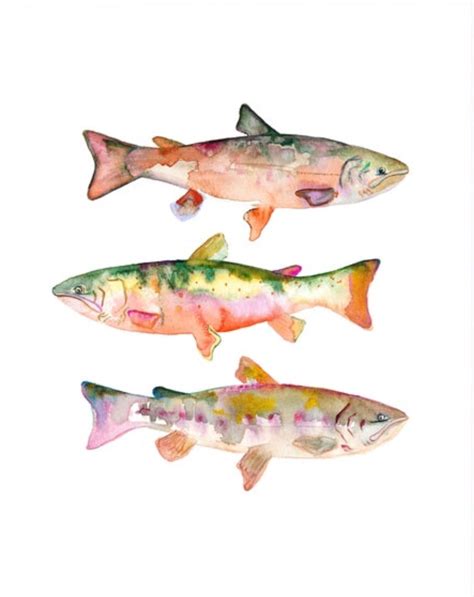 Watercolor Fish, Watercolor Animals, Watercolor Paintings, Gravure Illustration, Illustration ...