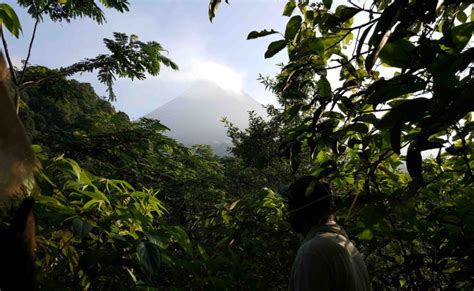 Merapi Sunrise Hiking Tour in Yogyakarta - Backstreet Academy