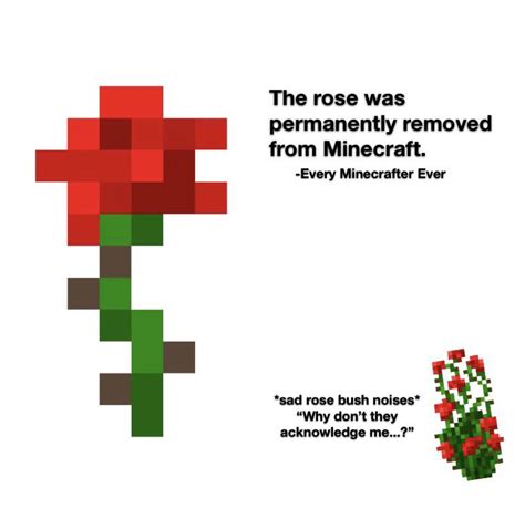 Poor rose bush... : r/MinecraftMemes