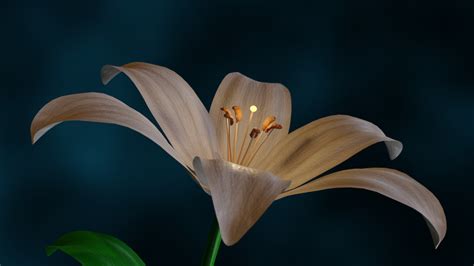 Lily-flower 3D Models in Flowers 3DExport