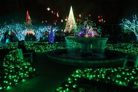 The Complete Guide to Atlanta Botanical Garden's Holiday Lights | Fellow Farer True