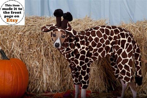 Items similar to Tiny Giraffe Italian Greyhound Small Pet Costume-all ...