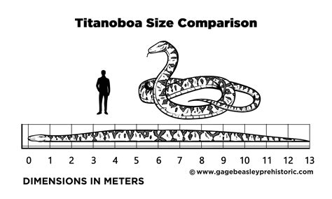 An Ultimate Guide to Titanoboa: The Giant Boa