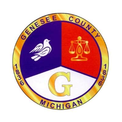 Genesee County probate and circuit courts provide status of court ...