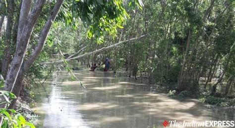 Cyclone Amphan leaves behind a trail of destruction in West Bengal ...