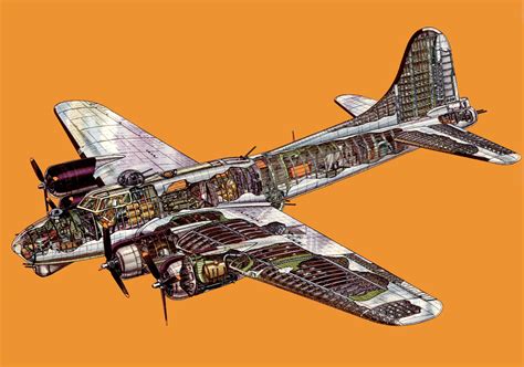 B 17 Flying Fortress Cutaway Military Airplane Aircraft Design Cutaway | Images and Photos finder
