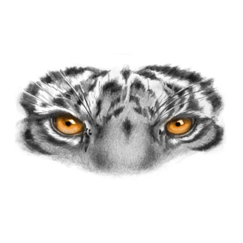 Eye of the Tiger Tattoo - Realistic Temporary Tattoos | Tattoo Icon – TattooIcon