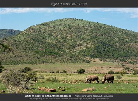 Pilanesberg Photos – Images & Pictures