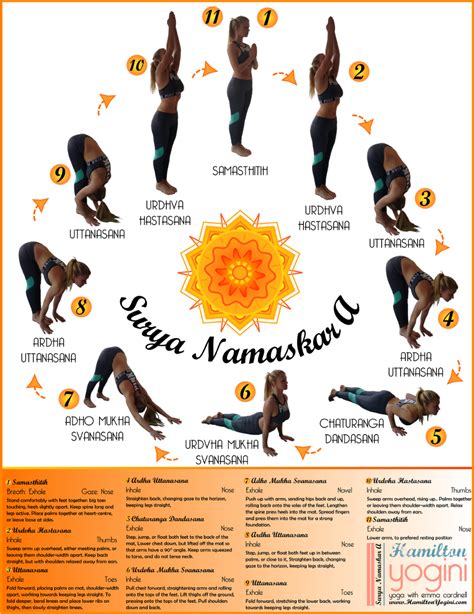 Surya Namaskar A – Sun Salutation A – hamiltonyogini | Yoga sun salutation, Ashtanga vinyasa ...