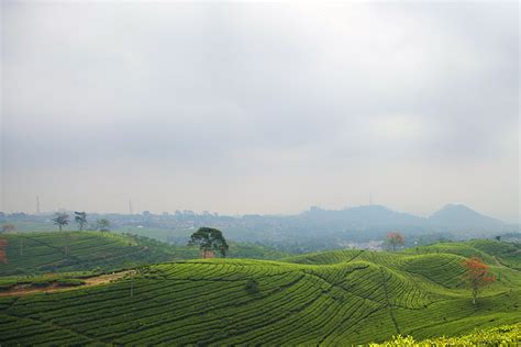 Discover Lembang: A Mountain Escape - Indonesia Travel