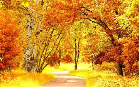 Fall Scenery Wallpapers (58+ images)