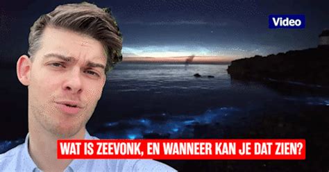 Wanneer zee blauw licht geeft: vijf vragen over zeevonk