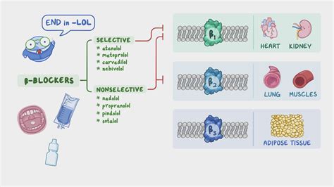 Beta-adrenergic blockers: Nursing pharmacology - Osmosis Video Library