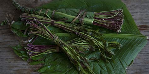 Khat Should Not Be Banned, Say MPs In Strong Message To Theresa May | HuffPost UK