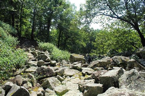 Mount Nebo: Summit Park Trail Summer Pics | Arklahoma Hiker