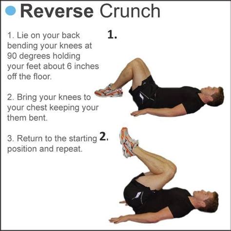 Reverse Crunch- For the abs Resistance Band Ab Workout, Best Resistance ...