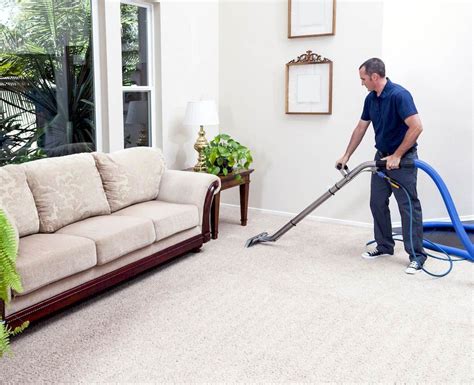 How to Remove Mold from Your Carpet