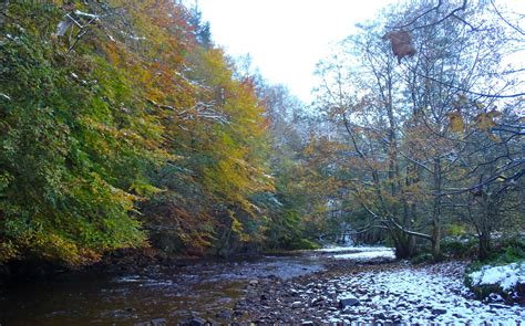 Autumn colour at Hamsterley Forest. | Fairfield house, Website images, Scenery