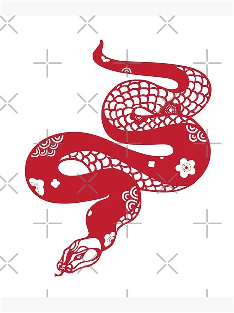 "Chinese Zodiac Sign Snake - Horoscope Astrological Sign - Chinese ...