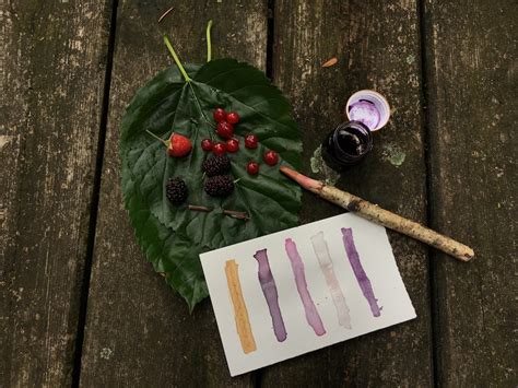 Making ink from Berries – Lost in Colours