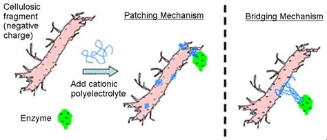 38. An example of flocculation mechanisms. | Download Scientific Diagram