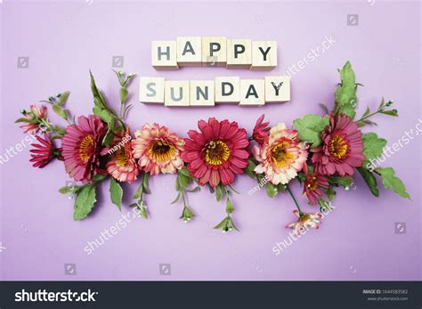 Happy Sunday Sign Photos and Images | Shutterstock