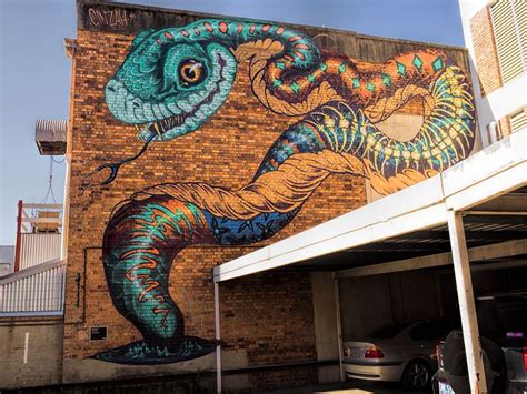 16 Amazing Street Art Murals in Toowoomba | Street art, Amazing street ...