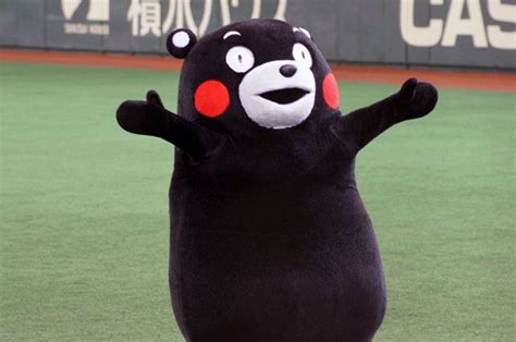 Kumamon | Wiki | Japan Amino