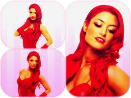 Bella Twins WWE PNG by VS-angel on DeviantArt