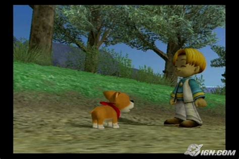 Harvest Moon: Another Wonderful Life Screenshots, Pictures, Wallpapers - GameCube - IGN