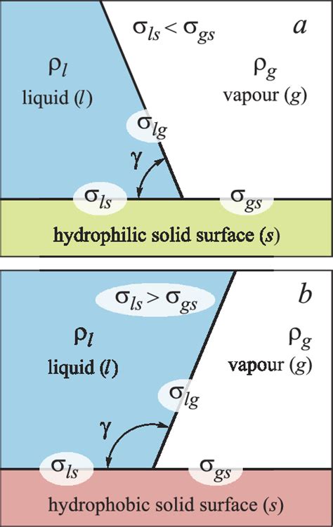 Definition of contact angle for (a) hydrophilic and (b) hydrophobic ...