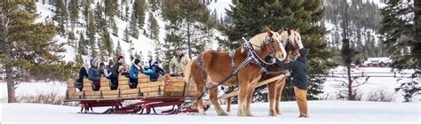 Sleigh Rides | Montana's Yellowstone Country