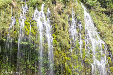 California: A Wild Walk to a Hidden Waterfall - Sojourn of a Penguin