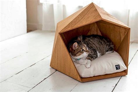 House for a cat: let the pet also have its own personal space – Inspirations | Essential Home