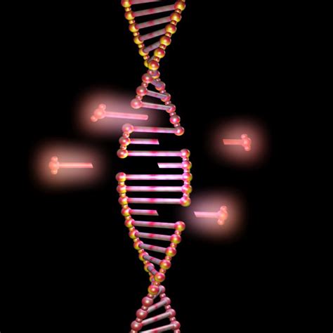 New CRISPR studies show how to limit off-target genome editing