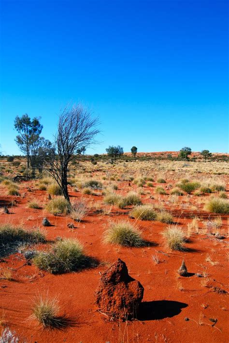 great victoria desert | Paesaggi, Parete dei viaggi, Australia