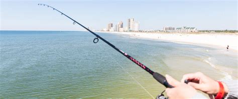 Top 100+ Fishing Charters & Tours in Gulf Shores & Orange Beach (2020)