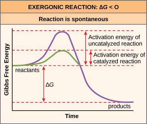 Activation Energy Diagram