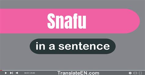 Use "Snafu" In A Sentence