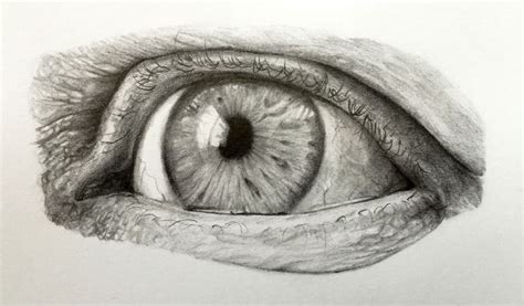 Pencil Drawings Of Eyes Step By Step