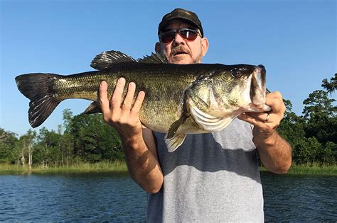 An Outdoor Happening: Record-Class Bass, Released - Florida Sportsman