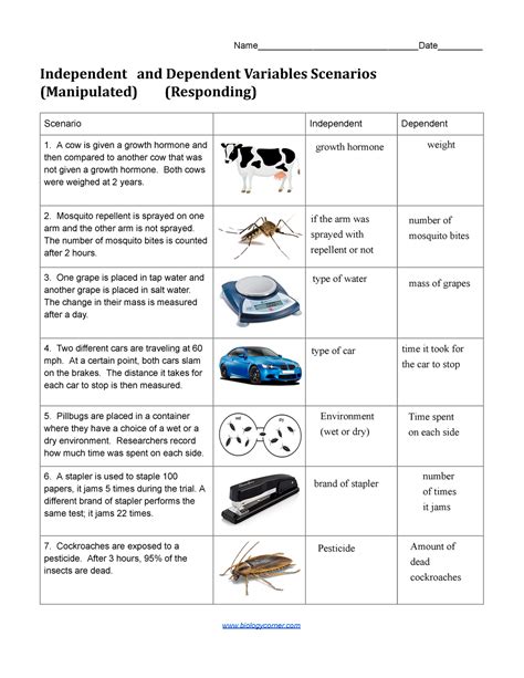 Independent Dependent Variable Worksheet – E Street Light