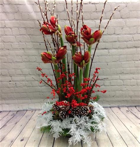 Amaryllis Arrangement