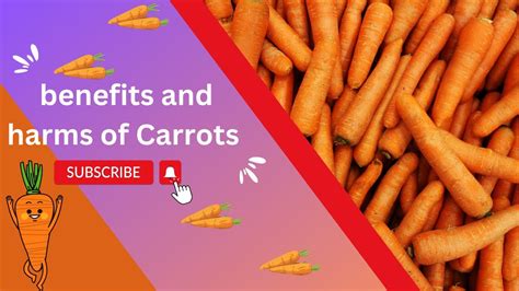 what is the benefits of carrots | The Health Benefits of Carrots ...