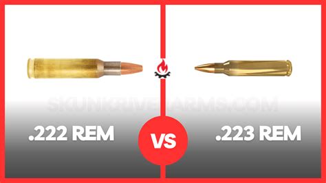 .222 Remington Vs .223 Remington [Which One Is Better?]