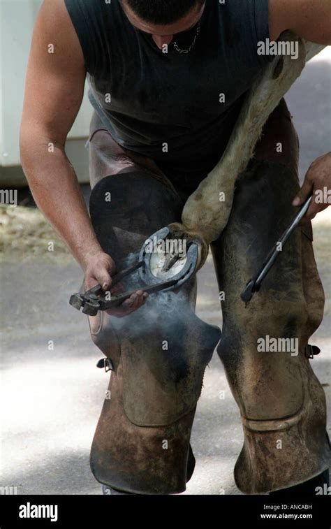 blacksmith farrier horse shoe horseshoe fitting Stock Photo - Alamy