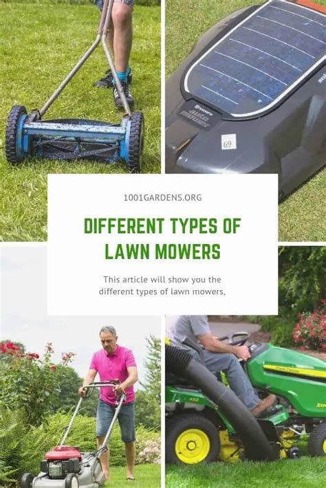 What Are The Different Types of Lawn Mowers? - 1001 Gardens